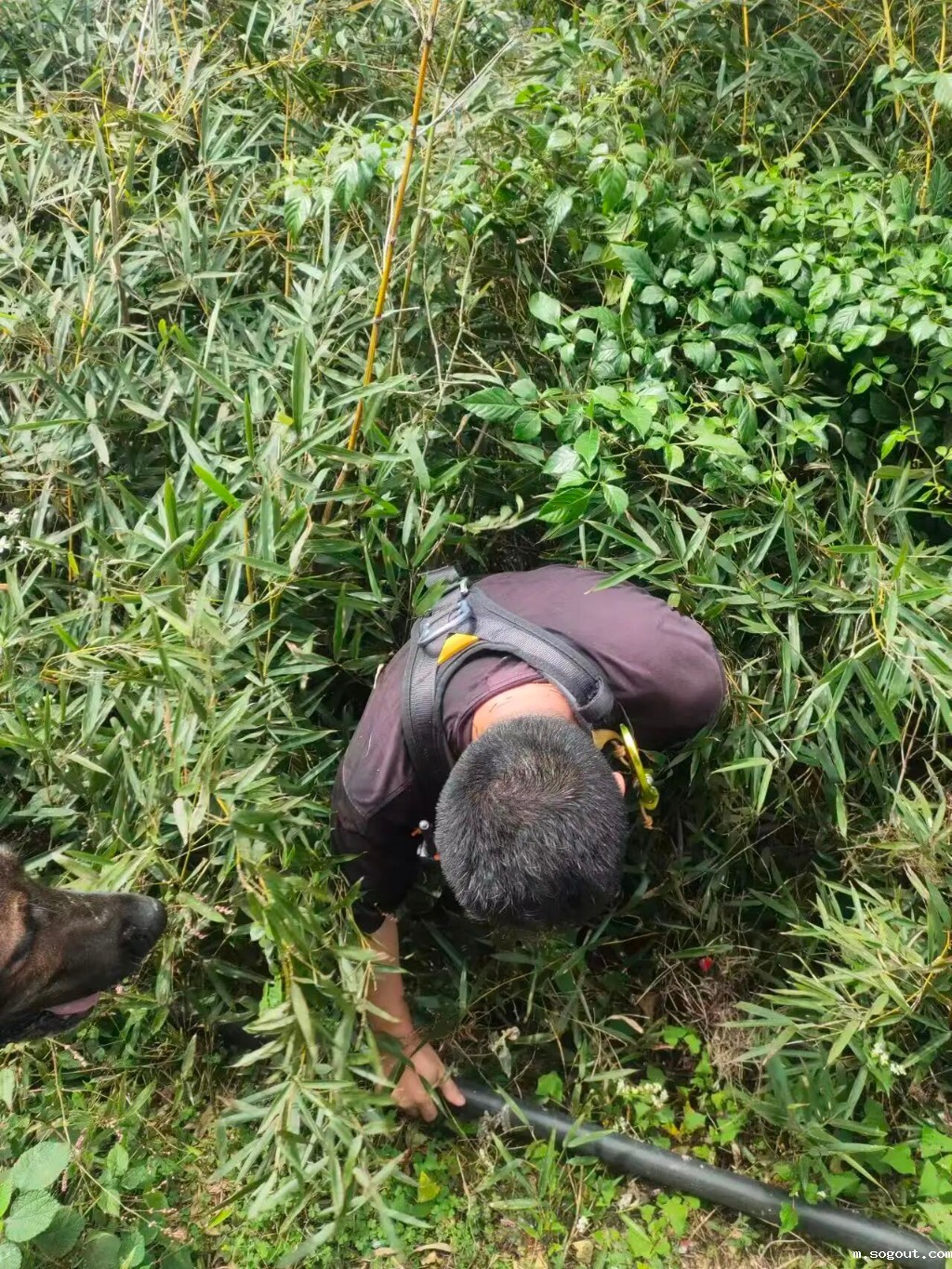 微信图片_2025-10-09_091836_714